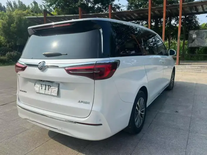 Buick GL8 2021 Model ES Luzun 653T Exclusive Model – фото 6