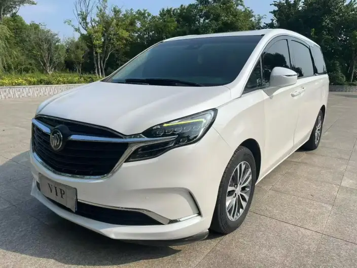 Buick GL8 2021 Model ES Luzun 653T Exclusive Model – фото 10