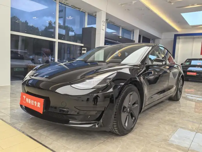 Model 3 2022 Model Rear-wheel drive version – фото 1