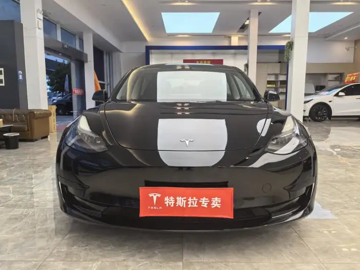 Model 3 2022 Model Rear-wheel drive version – фото 2