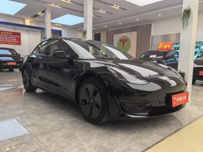Model 3 2022 Model Rear-wheel drive version – фото 3