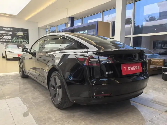 Model 3 2022 Model Rear-wheel drive version – фото 4