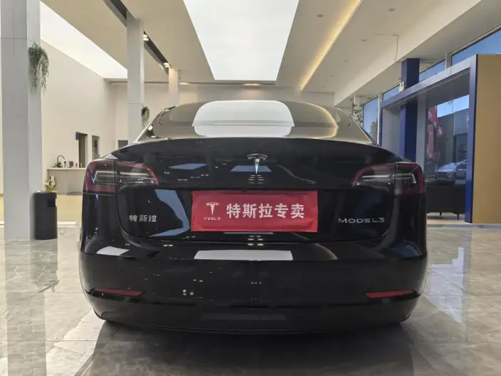 Model 3 2022 Model Rear-wheel drive version – фото 5