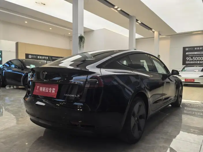 Model 3 2022 Model Rear-wheel drive version – фото 6