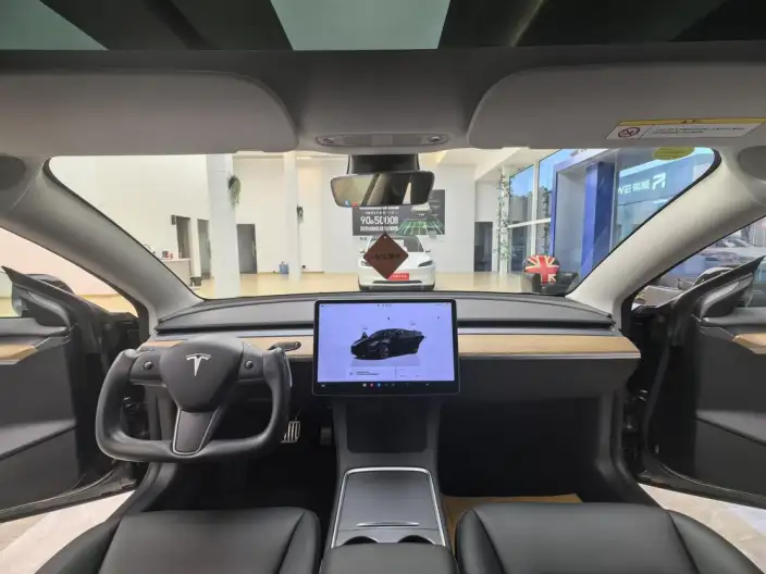 Model 3 2022 Model Rear-wheel drive version – фото 7