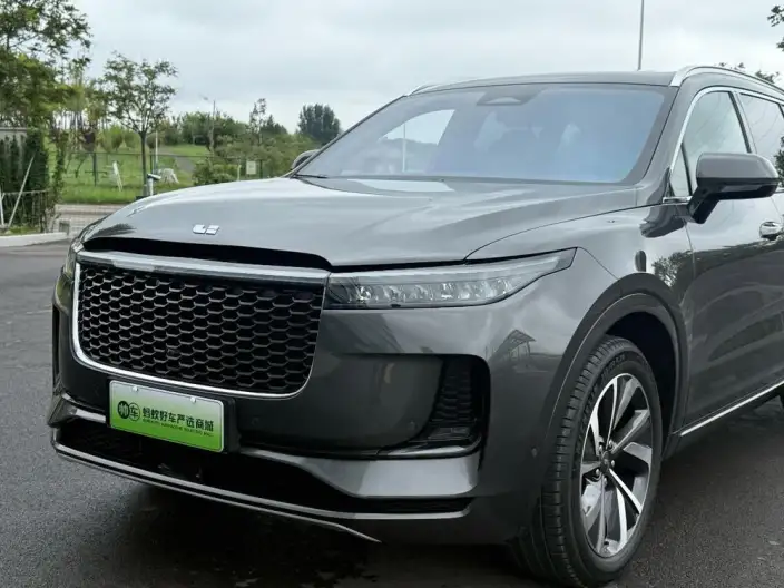 Li Auto ONE 2021 Model Extended Range 6 seat Edition – фото 8