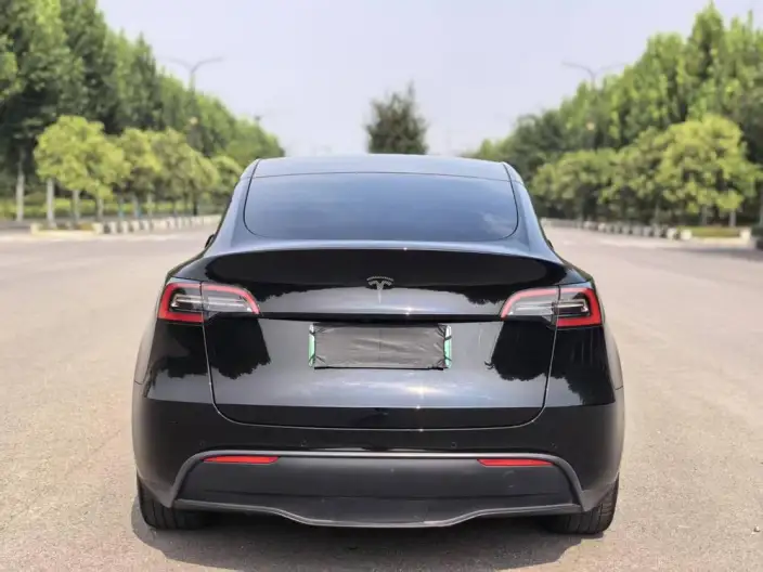 Model Y 2022 Model Facelift Rear-wheel drive version – фото 5