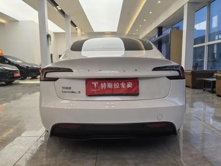 Model 3 2023 Model Rear-wheel drive version – фото 5