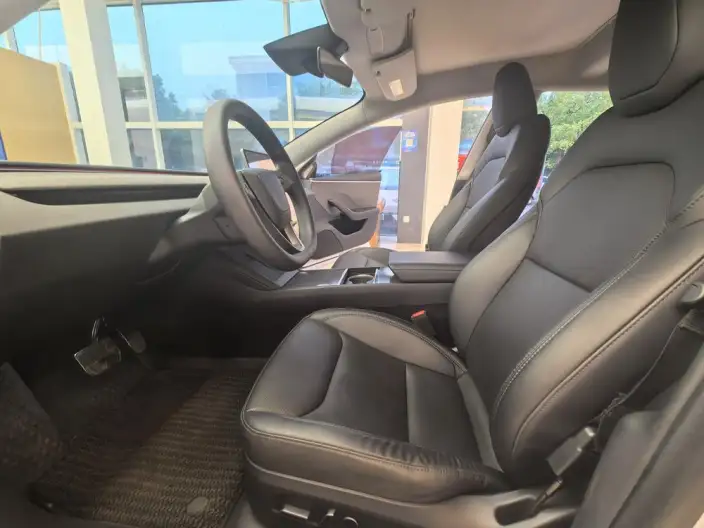 Model 3 2023 Model Rear-wheel drive version – фото 8
