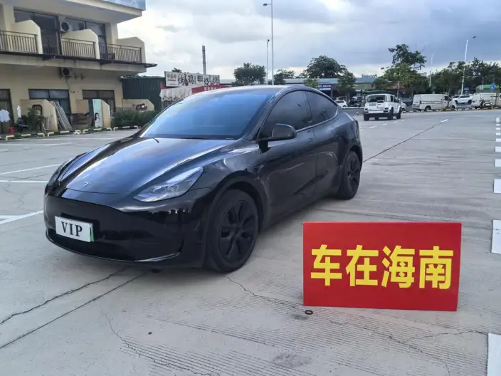 Model Y 2023 Model Rear-wheel drive version – фото 1