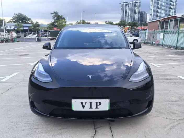 Model Y 2023 Model Rear-wheel drive version – фото 2
