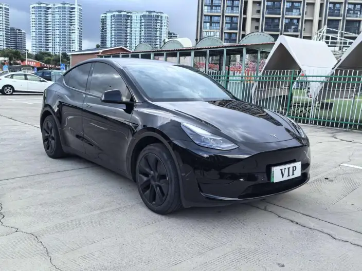 Model Y 2023 Model Rear-wheel drive version – фото 3