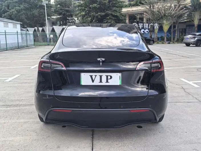 Model Y 2023 Model Rear-wheel drive version – фото 5
