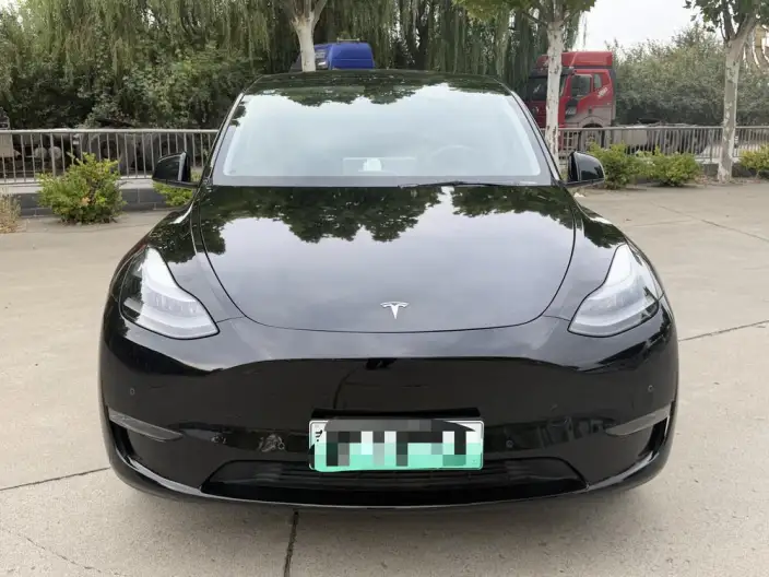 Model Y 2021 Model Standard Battery Life Rear-wheel drive version – фото 2
