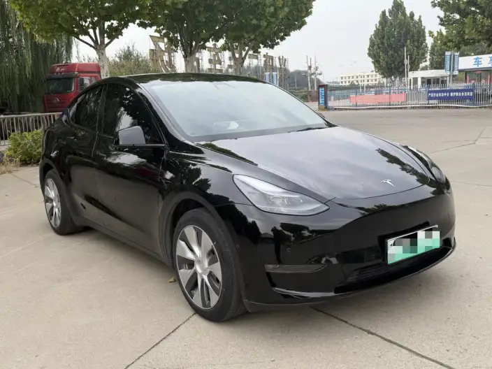 Model Y 2021 Model Standard Battery Life Rear-wheel drive version – фото 3