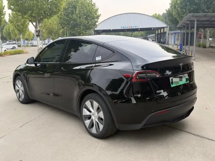 Model Y 2021 Model Standard Battery Life Rear-wheel drive version – фото 4