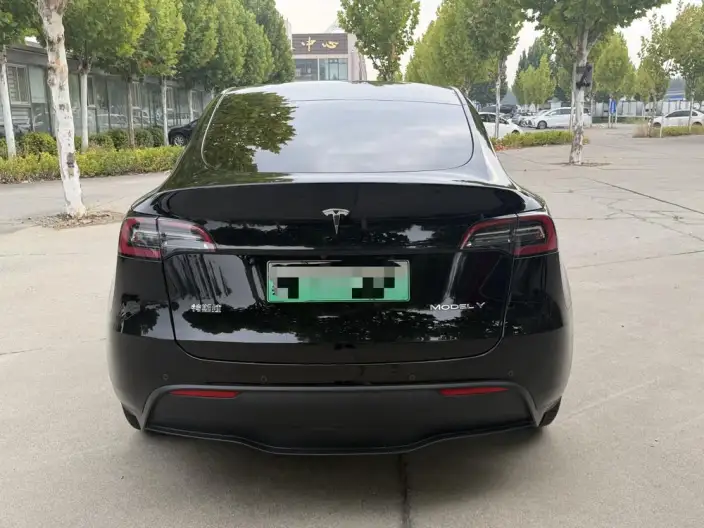 Model Y 2021 Model Standard Battery Life Rear-wheel drive version – фото 5