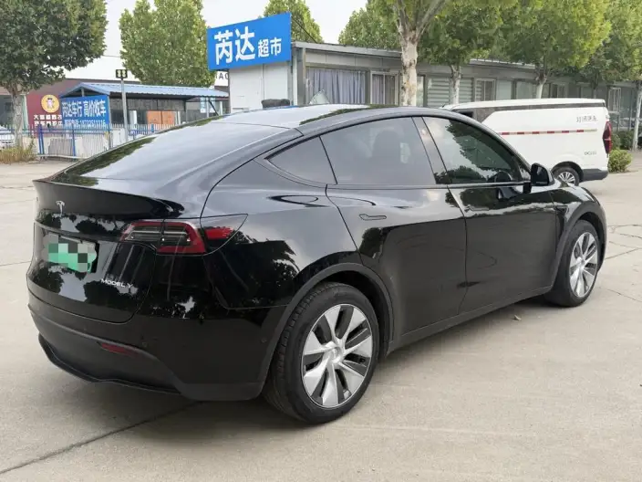 Model Y 2021 Model Standard Battery Life Rear-wheel drive version – фото 6