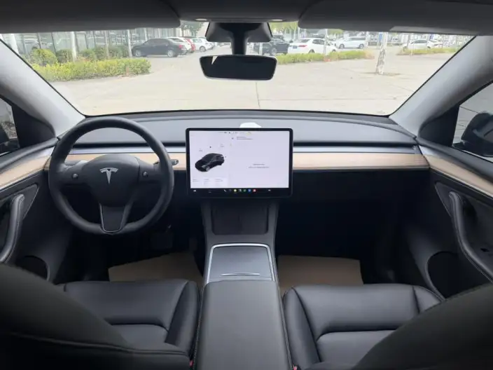 Model Y 2021 Model Standard Battery Life Rear-wheel drive version – фото 7