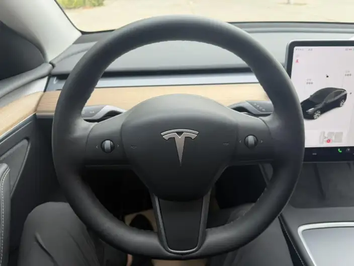 Model Y 2021 Model Standard Battery Life Rear-wheel drive version – фото 8