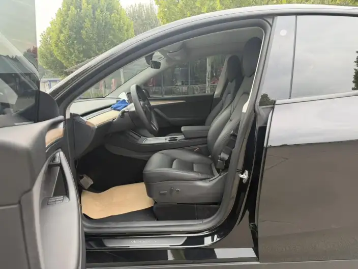 Model Y 2021 Model Standard Battery Life Rear-wheel drive version – фото 9