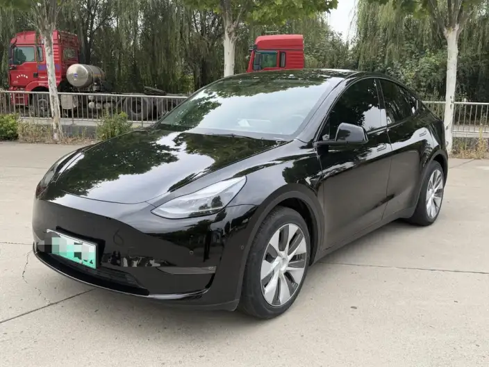Model Y 2021 Model Standard Battery Life Rear-wheel drive version – фото 10
