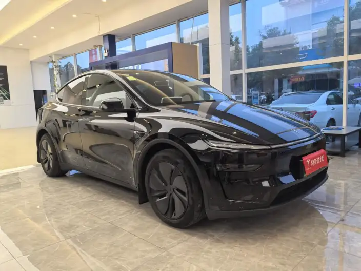 Model Y 2026 Model Rear-wheel drive version – фото 3