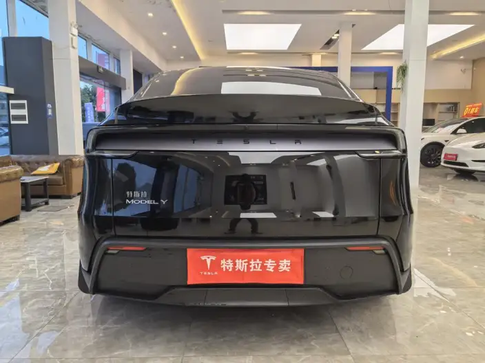 Model Y 2026 Model Rear-wheel drive version – фото 5