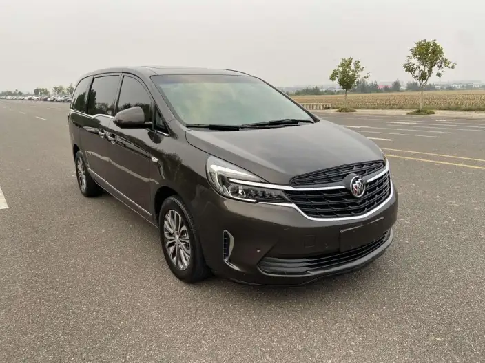 Buick GL8 2021 Model Facelift Business class 652T Noble Model – фото 3