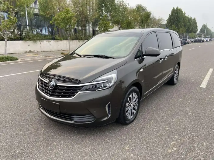 Buick GL8 2021 Model Facelift Business class 652T Noble Model – фото 10