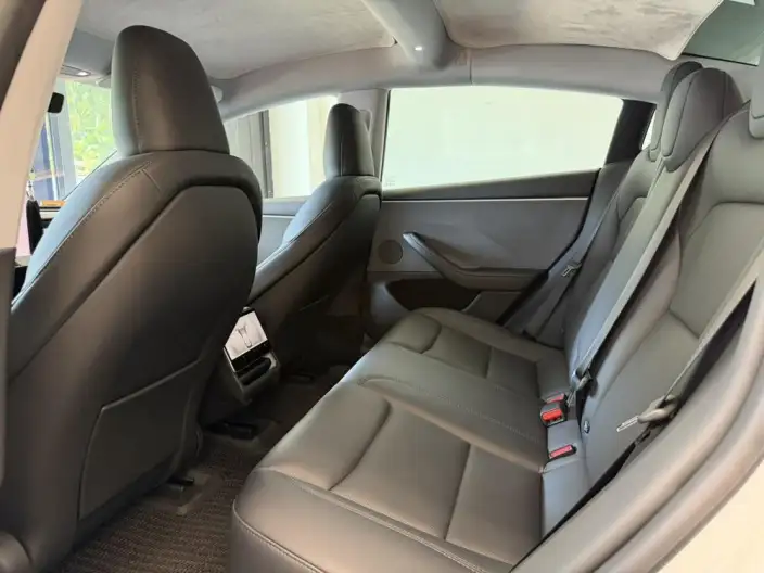 Model 3 2023 Model Rear-wheel drive version – фото 9
