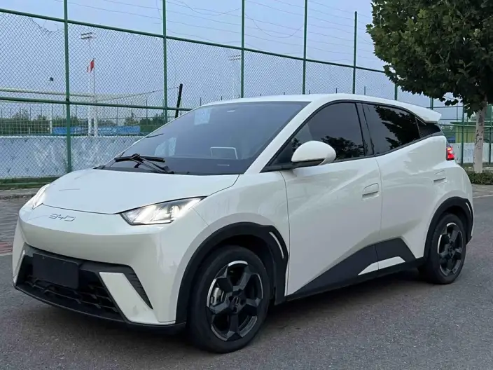 BYD Seagull 2023 Model Free Edition – фото 1