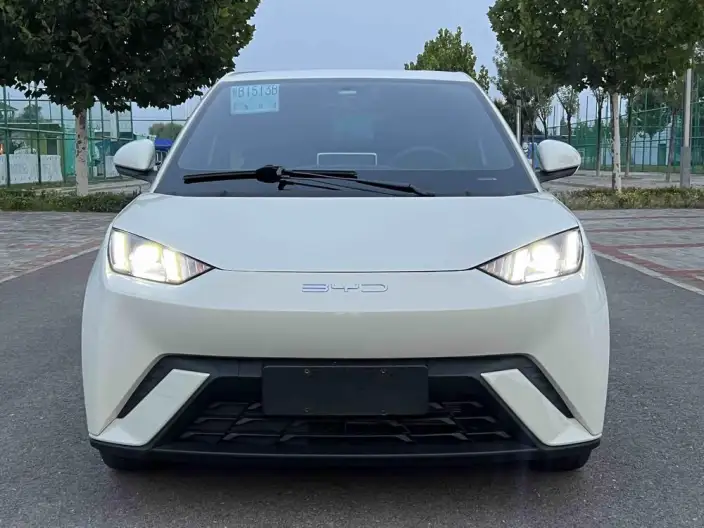 BYD Seagull 2023 Model Free Edition – фото 2