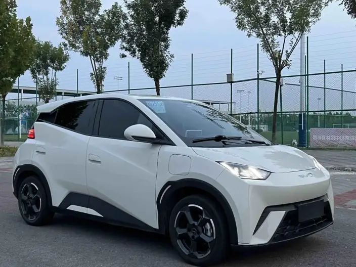 BYD Seagull 2023 Model Free Edition – фото 3