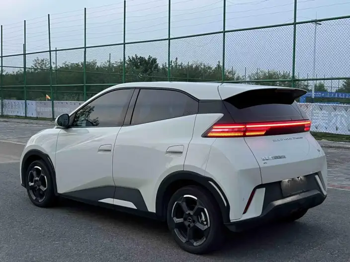BYD Seagull 2023 Model Free Edition – фото 4