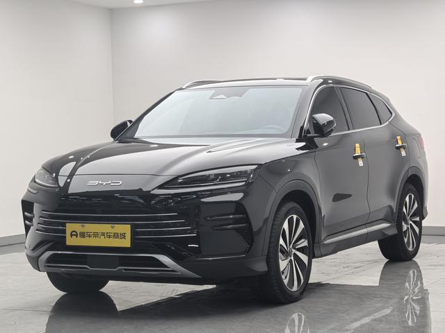 BYD Yuan UP 2024 301KM Leader