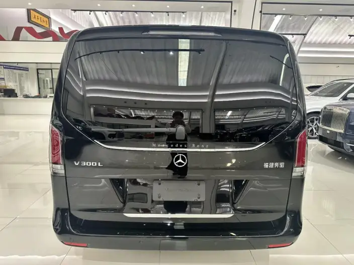 Mercedes-Benz V-Class 2024 Model V 300 L Long wheelbase Deluxe Edition – фото 4