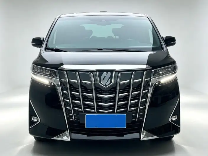 Elfa 2020 Model Hybrid 2.5L Premium Edition – фото 2