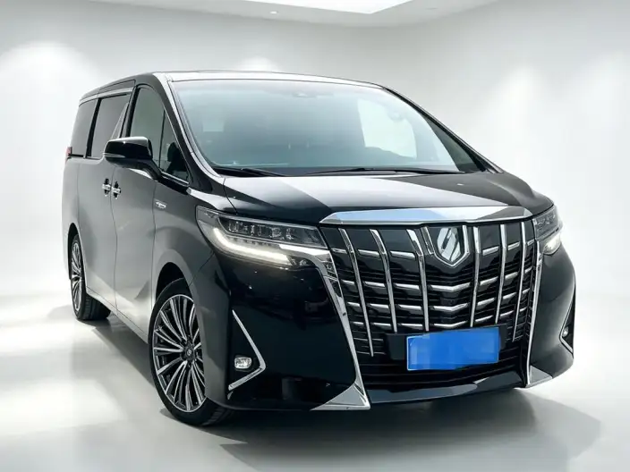 Elfa 2020 Model Hybrid 2.5L Premium Edition – фото 3