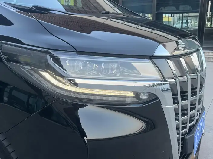 Elfa 2020 Model Hybrid 2.5L Premium Edition – фото 7
