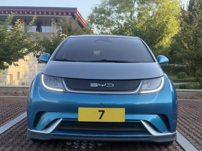 BYD Dolphin 2021 Model Knight Edition – фото 2
