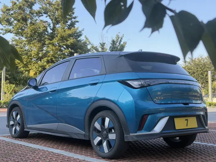 BYD Dolphin 2021 Model Knight Edition – фото 3