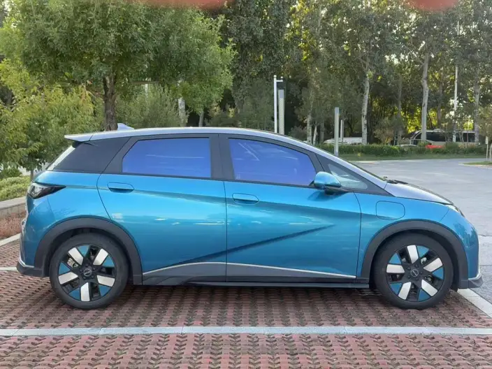 BYD Dolphin 2021 Model Knight Edition – фото 5