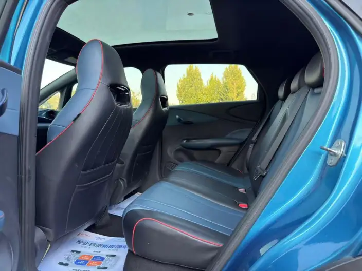 BYD Dolphin 2021 Model Knight Edition – фото 8