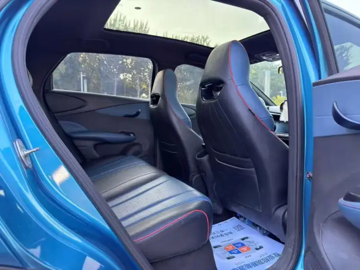 BYD Dolphin 2021 Model Knight Edition – фото 9