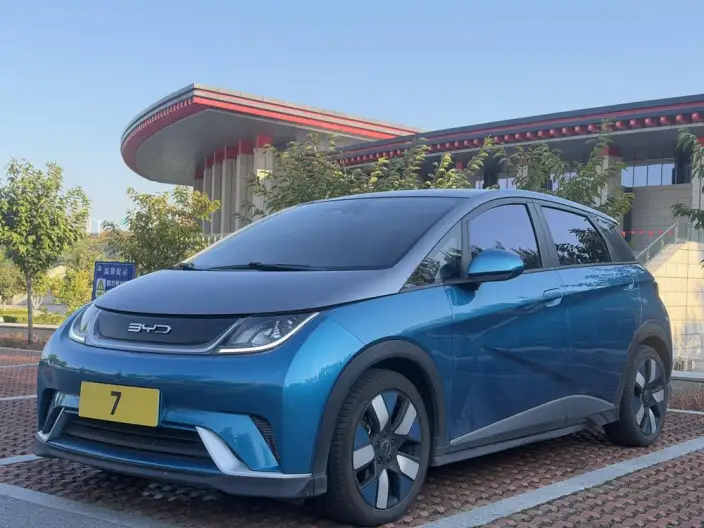 BYD Dolphin 2021 Model Knight Edition – фото 10