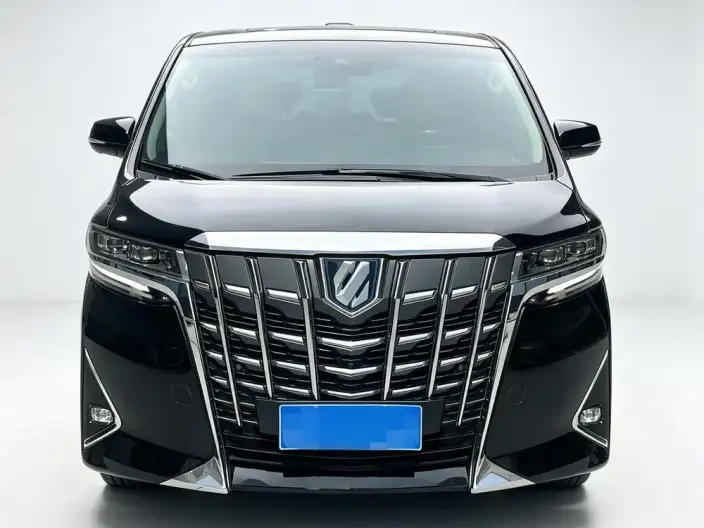 Elfa 2020 Model Hybrid 2.5L Premium Edition – фото 2