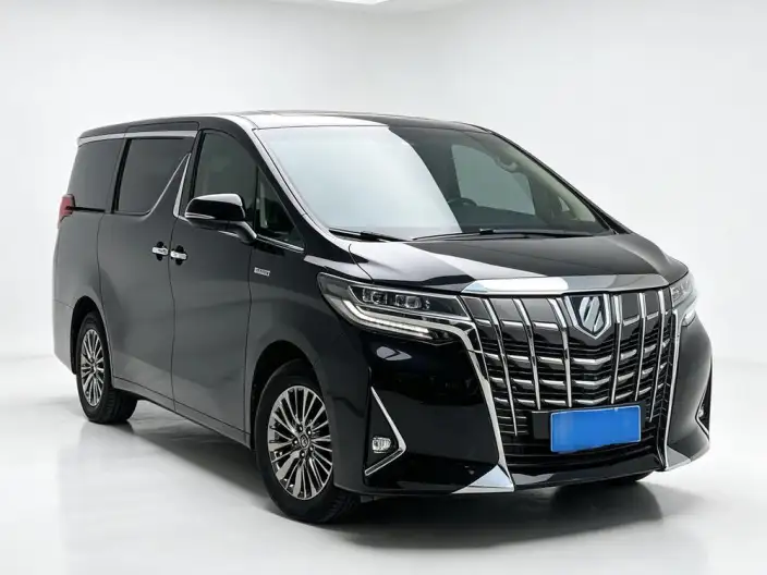 Elfa 2020 Model Hybrid 2.5L Premium Edition – фото 7