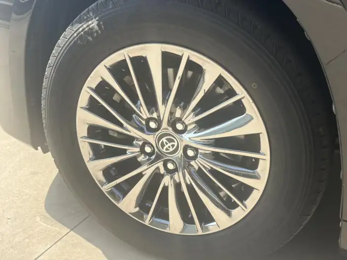 Elfa 2020 Model Hybrid 2.5L Premium Edition – фото 8
