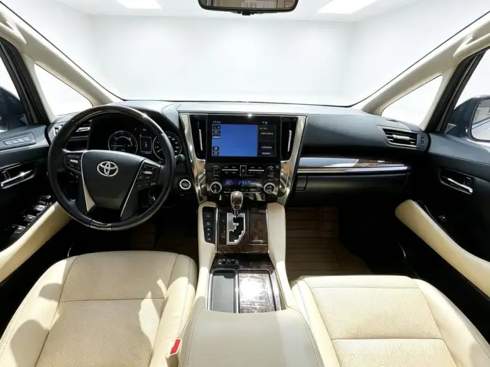 Elfa 2020 Model Hybrid 2.5L Premium Edition – фото 9